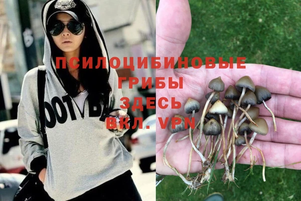тгк Алексин