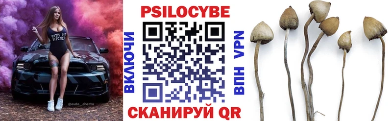 Галлюциногенные грибы MAGIC MUSHROOMS цена Дзержинск