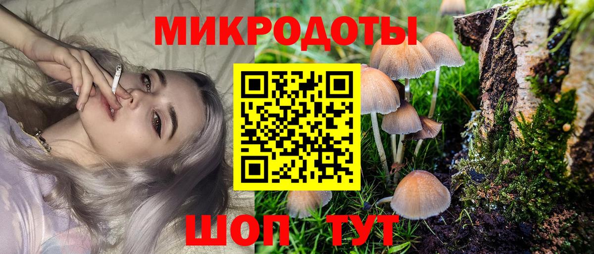 купить  цена  Псилоцибиновые грибы мицелий  Вход с VPN  Дзержинск 